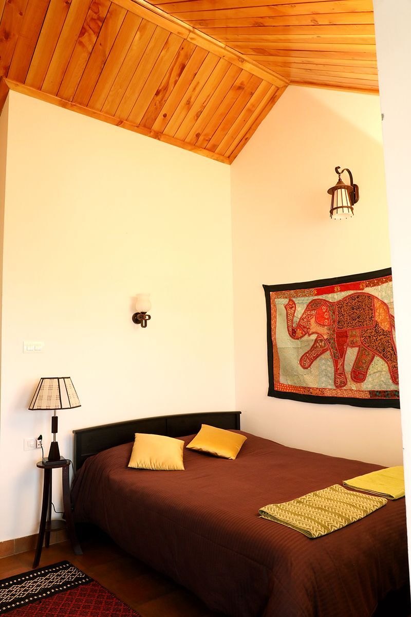 Vagbhata double room at the Mountain Top Clinic