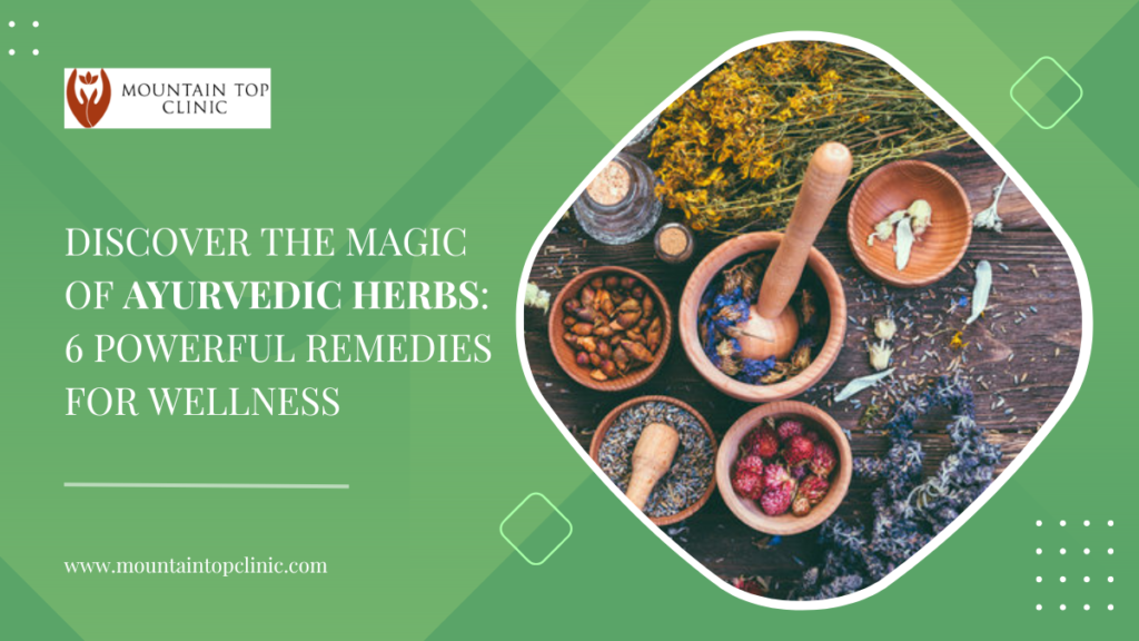 Discover the Magic of Ayurvedic Herbs: 6 Powerful Remedies for Wellness